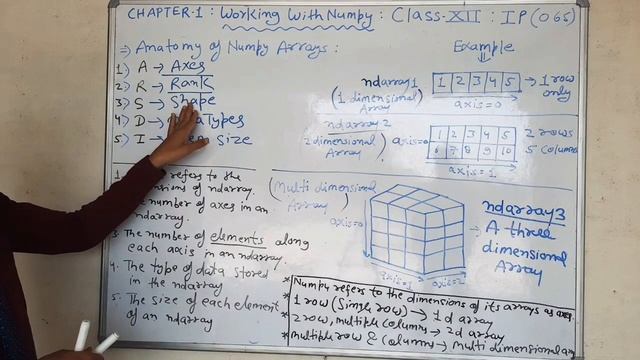 Anatomy of NumPy Arrays | Terminology | Axes | Rank | Shape | Datatype | Item Size | By:Vidhu Mishr смотреть онлайн