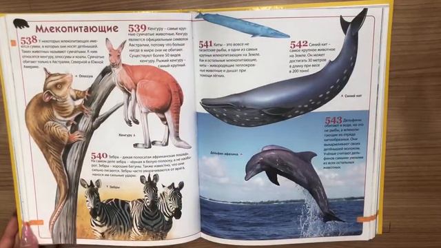 Детская энциклопедия. 1001 ответ на вопросы обо всём на свете. смотреть онлайн