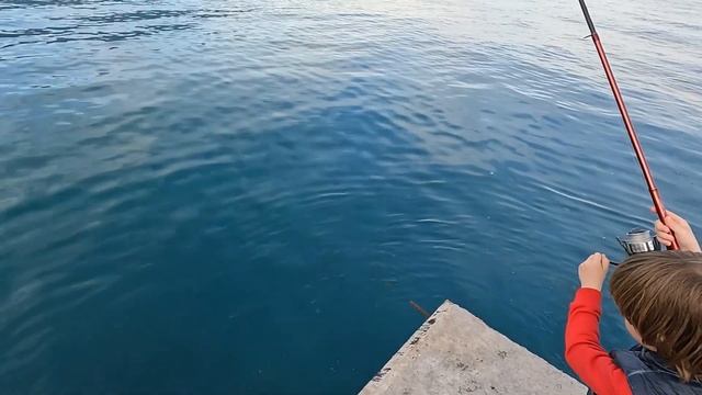 ?СЫНУЛЯ ПОТИХОНЬКУ ПОЗНАЕТ МИР РЫБАЛОВСТВА. Морская Рыбалка на Черном Море. Смариды. Крым. Ялта смотреть онлайн