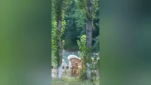 Красота!!!!!!! Часть 1. смотреть онлайн