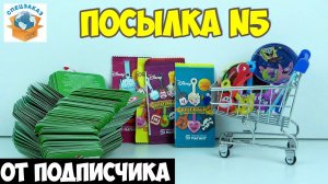 Скрепыши, Начивки и Фишки от Подписчика. Распаковка Обзор Посылки 5 | СПЕЦЗАКАЗ