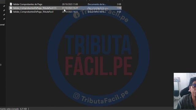 Validar Comprobantes de Pago Masivo | Actualizado 2023 смотреть онлайн