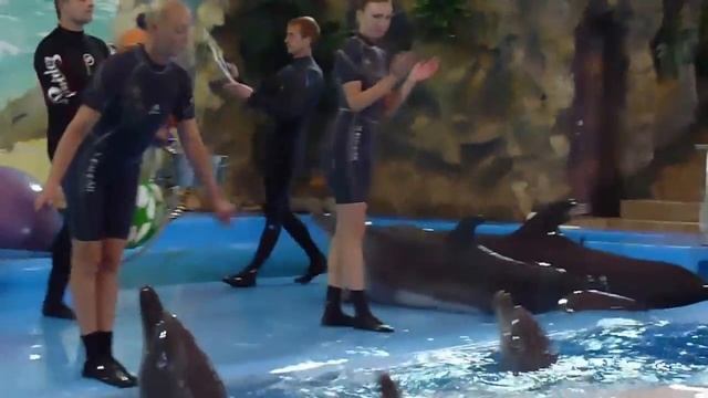 Kharkov Dolphinarium 