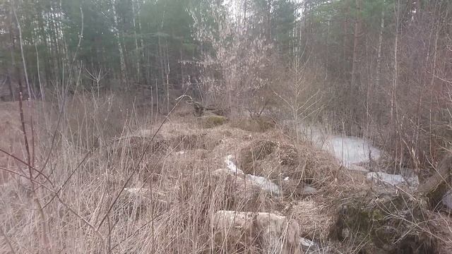 С металлоискателем по заводской свалке. Копаю и собираю металлолом на советской свалке в лесу. смотреть онлайн