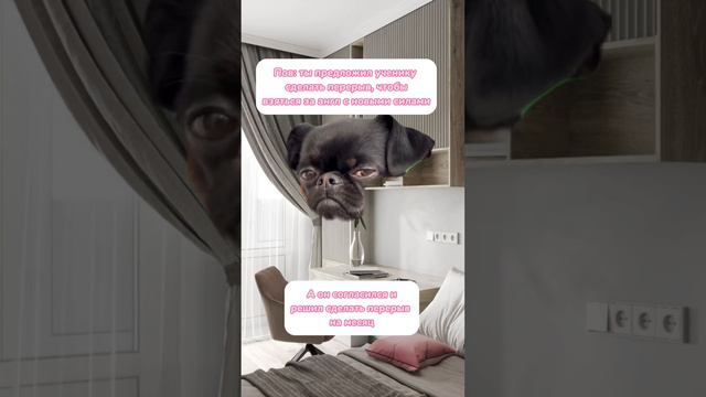 Репетитор англ и ученик #английский #репетиторпоанглийскому #инглиш #английскийспб #учиманглийский смотреть онлайн