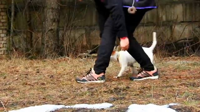 GLOA 4months формируем идеальный подзыв смотреть онлайн