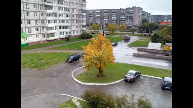 Осень.Клён.Череповец смотреть онлайн