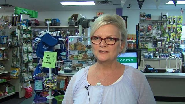 Businesses React to Credit Card Upgrades смотреть онлайн