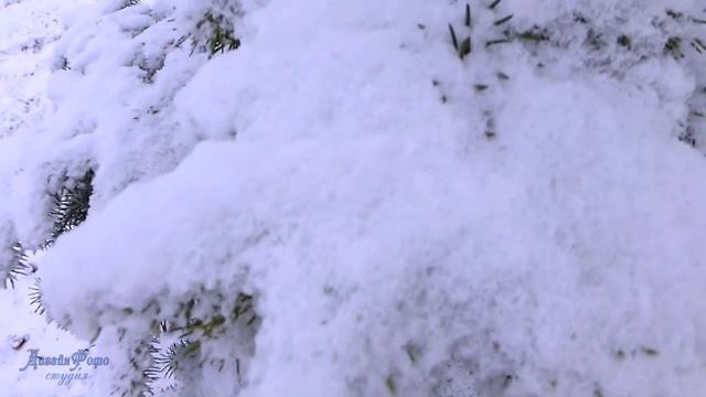 Зима Исполнитель В Боков — копия смотреть онлайн