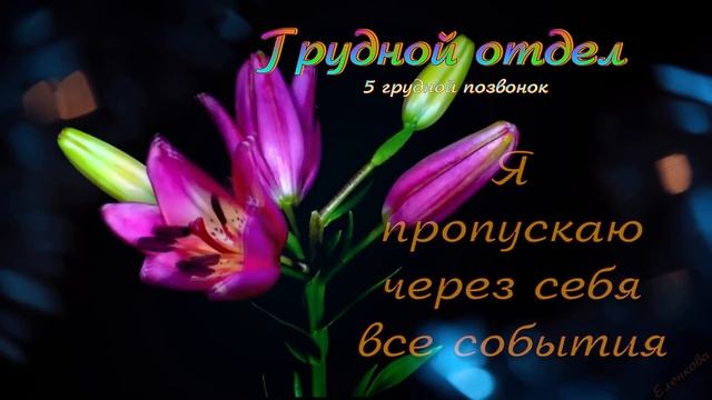 медитация 7. Новый позвоночник. видеомонтаж Елена Еленкова. смотреть онлайн