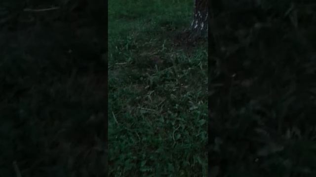 Счастливый мизантроп смотреть онлайн