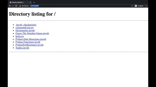 Python for Beginners | L19: File Transfer Program Using Python | Transfer Files | The Easy Concepts смотреть онлайн