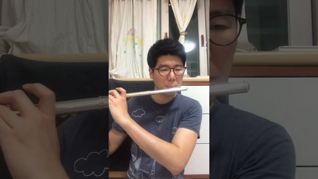 Reflection - Mulan (Flute cover) смотреть онлайн
