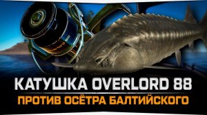 Вываживание Осётра балтийского катушкой  Overlord 88 • Русская Рыбалка 4