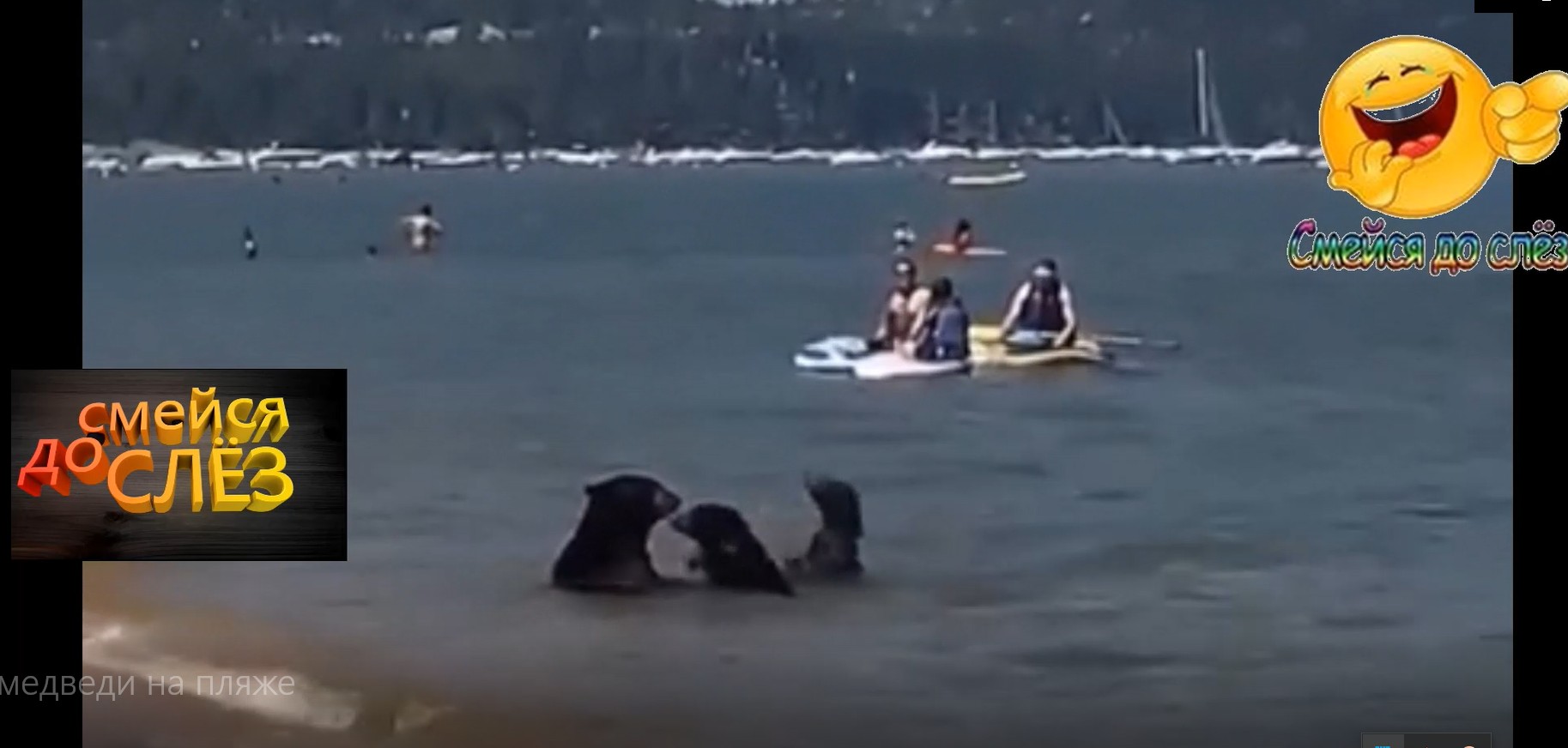 МЕДВЕДИ НА ПЛЯЖЕ " ЭТО РОССИЯ ДЕТКА "... смотреть онлайн
