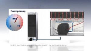 Ремонт холодильников либхер Технология Принцип охлаждения