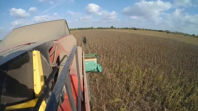 Уборка подсолнечника 2016 | ПАЛЕССЕ GS12+ПЗС-8 смотреть онлайн