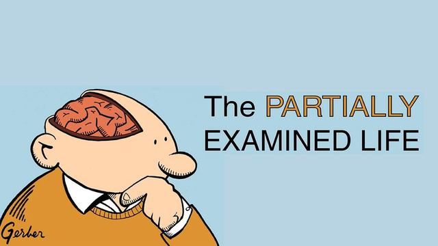 Partially Examined Life #16 Reissued: Arthur Danto on Art (w/ New Intro) смотреть онлайн