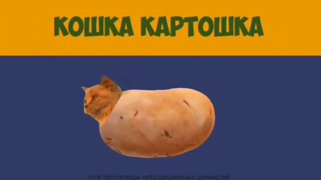 кошка картошка только под гимн Украины смотреть онлайн