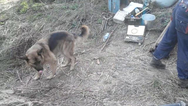 Бурение скважины на воду смотреть онлайн