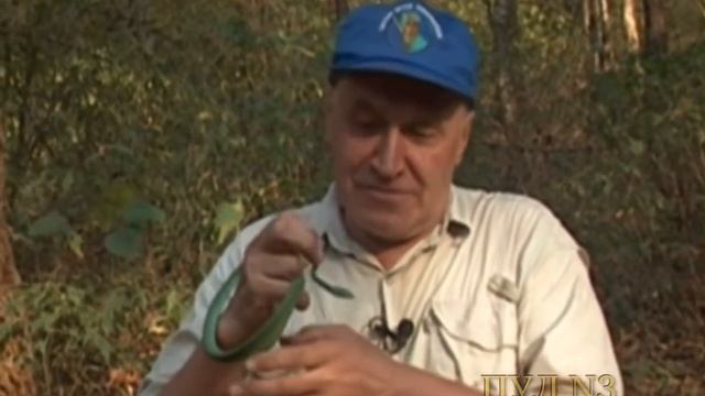 Сегодня 85 лет Ученому и телеведущему Николаю Дроздову. смотреть онлайн