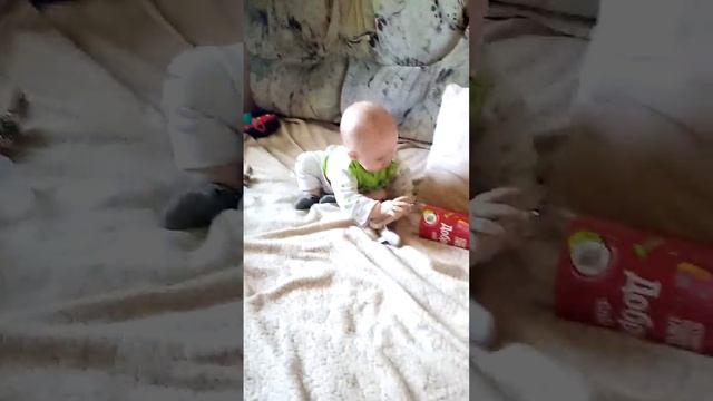 в конце делят игрушку, кто кого