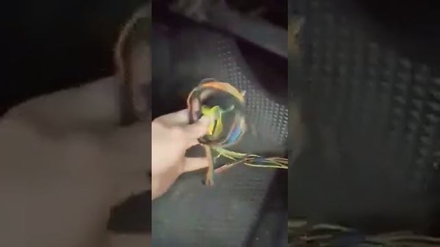Правильная проводка в твоём авто! Кулибин! смотреть онлайн