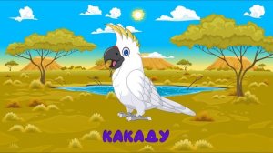 ЖИВОТНЫЕ АВСТРАЛИИ- названия и звуки для детей