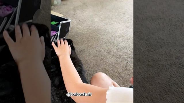 💕🐰POV Giant Bunny wants help style daughters hair cute pet animal video🐰💕#animals #cute #funny смотреть онлайн