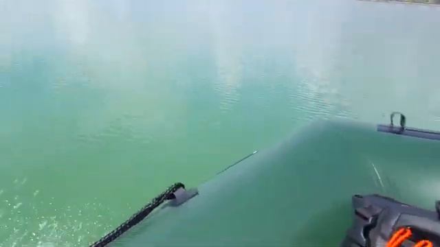 Selva Piranha 9.9 cv смотреть онлайн