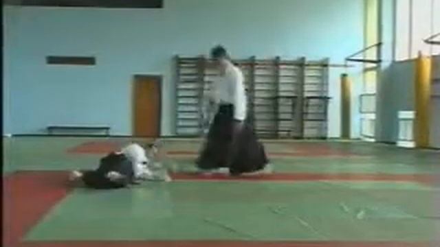 Aikido Seishinkai Айкидо Сэйсинкай 2 смотреть онлайн