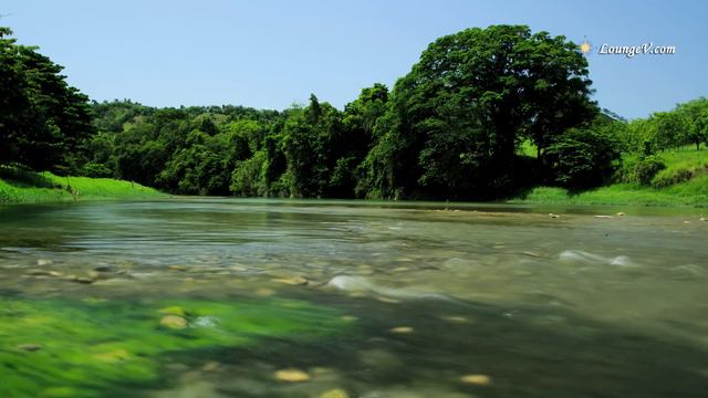 4K Video 💚 Beauty of Nature смотреть онлайн