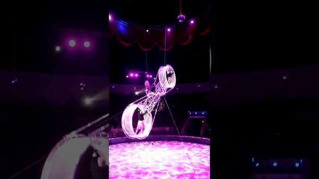 Омский цирк. Колесо смелости. Суперский номер!!!! Смотреть до конца... Они еще рубашки снимут!!!!! смотреть онлайн
