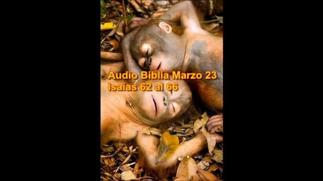 Audio Biblia Marzo 23 Isaías 62 al 66 Salmos 111 al 115 Proverbios 23 смотреть онлайн