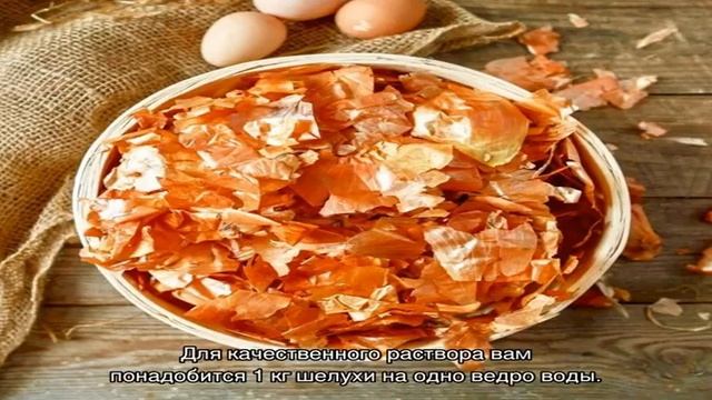 Ремонтный Разбор