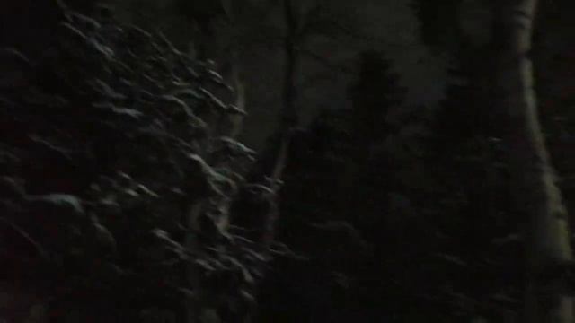 Оха. Сахалин. 28 ноября. Сказочный зимний парк после бурана. смотреть онлайн