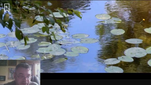 Краеведческий понедельник - Усадьба Дубровицы смотреть онлайн