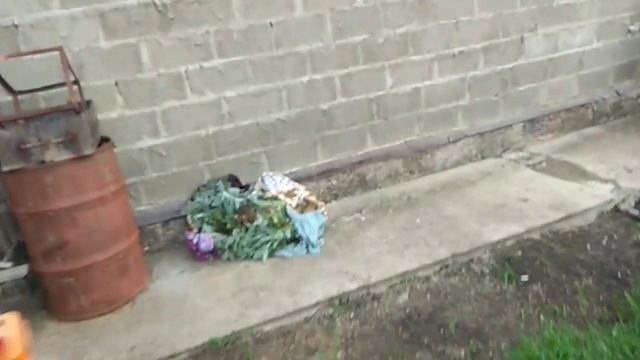 У нас все стабильно !!!сажаем/ поливаем/потихоньку наводим красоту на участке. смотреть онлайн