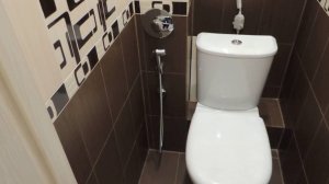 Гигиенический душ в стандартном туалете.