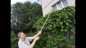 Секатор для обрезки высоких деревьев своими руками