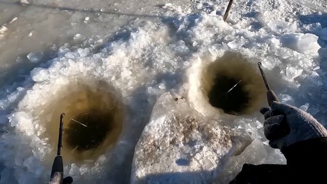 Щуки сами выпрыгивают из лунок!!! смотреть онлайн
