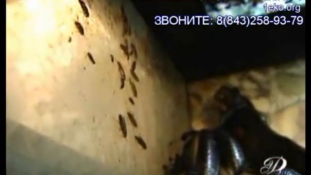 Конструктор Мечты