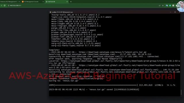 ? How to install Nexus repository in AWS EC2 instance Linux | AWS-Azure-GCP Beginner Tutorial смотреть онлайн