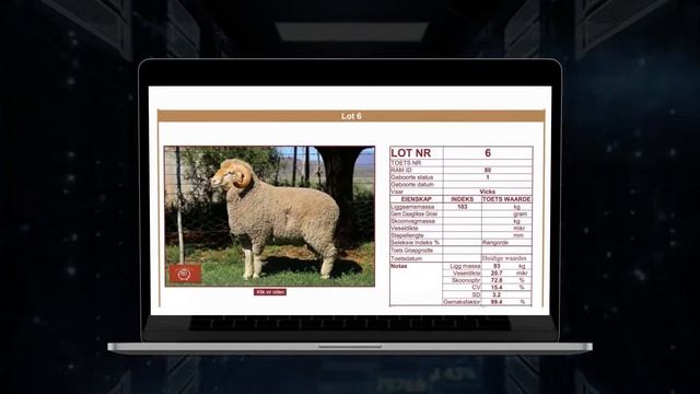 Shift DX Business Introduction смотреть онлайн