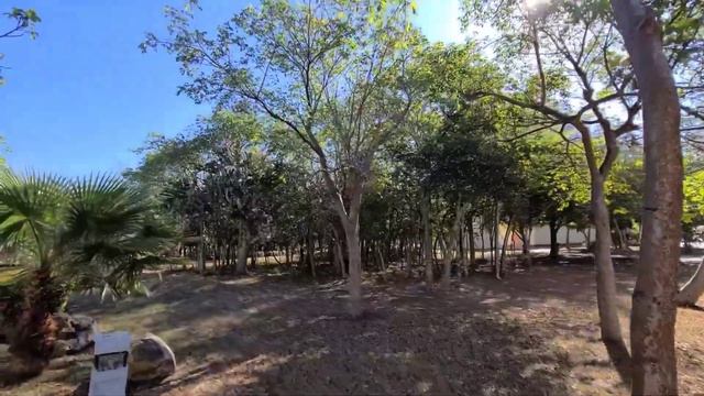 Memories Varadero Beach Resort, Varadero Cuba 2023 Part 1