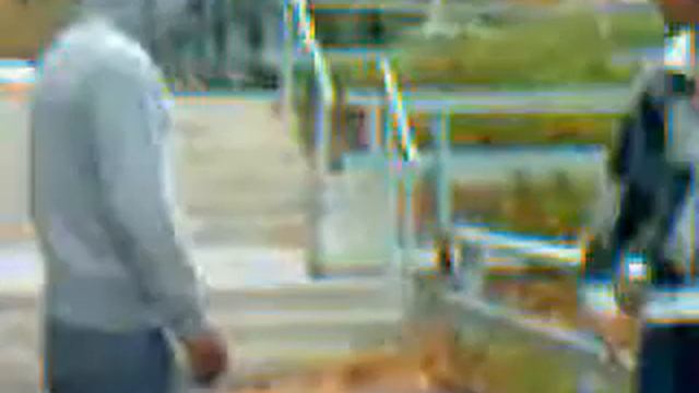 DC Dario- la pelea de dario смотреть онлайн