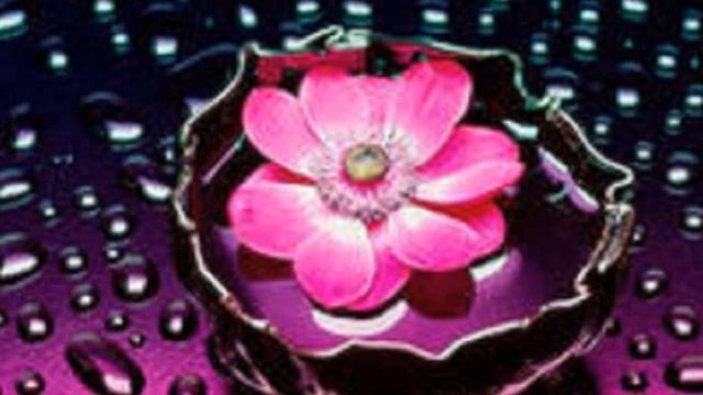 Медитация на раскрытие женского энергетического центра -- «Небесный Лотос Богини» смотреть онлайн