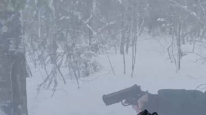 Тот самый сон