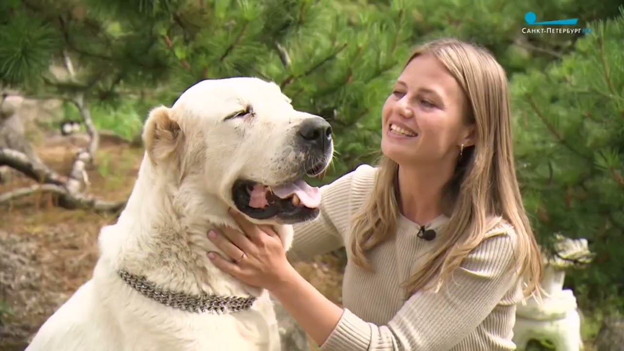 Телевидение в питомнике. Что осталось за кадром? смотреть онлайн