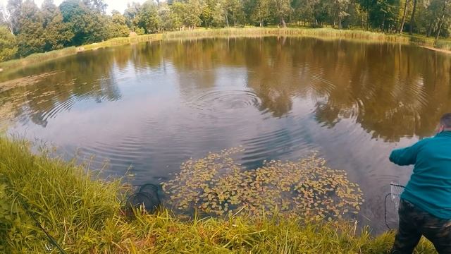 ОГРОМНЫЙ САЗАН на фидер, рыбалка с ночёвкой, выжидаем трофей смотреть онлайн